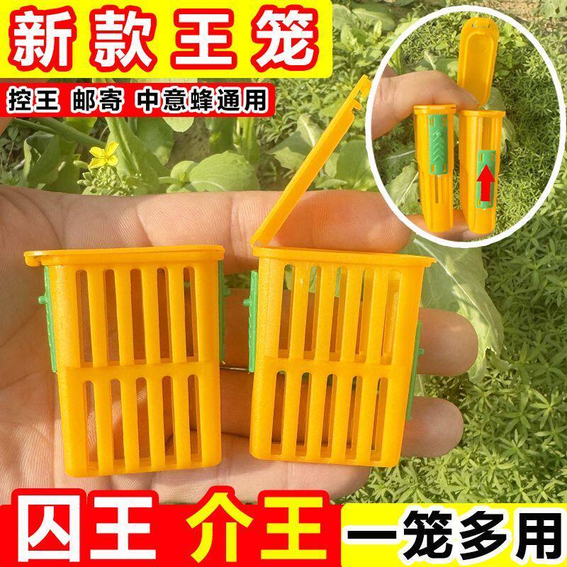 新型囚王笼双侧滑门囚王笼多功能蜂王笼中意蜂通用介王笼养蜂必备