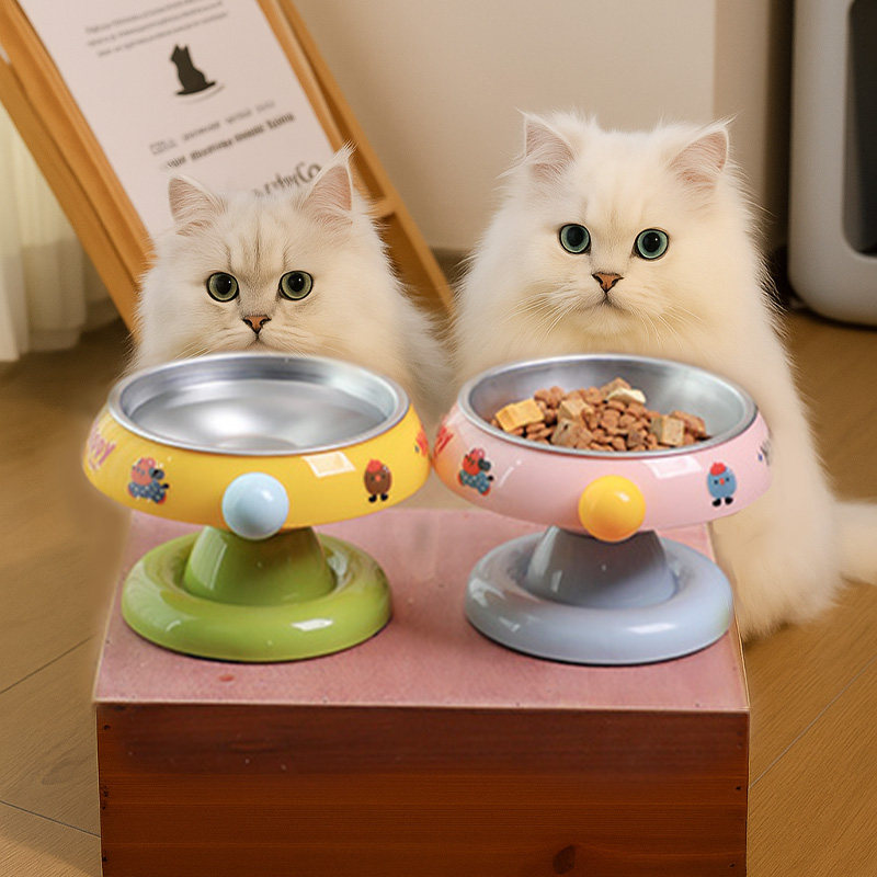 猫碗不锈钢猫食盆斜口碗保护颈椎猫咪饭碗粮碗喝水碗食碗宠物狗碗,宠物/宠物食品及用品,猫狗碗/慢食碗,淘宝优惠券,粉丝福利购,淘宝优惠卷