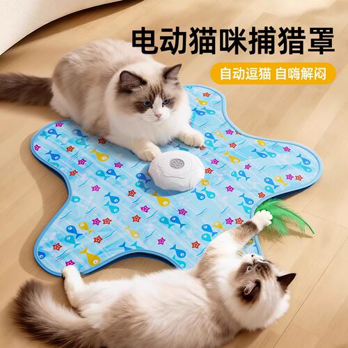 电动猫咪转盘宠物玩具自嗨解闷神器自动启停智能逗猫蝴蝶运动消耗