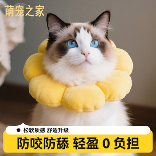 伊丽莎白圈猫咪绝育项圈防舔防咬猫脖圈颈圈狗狗头套围脖宠物用品