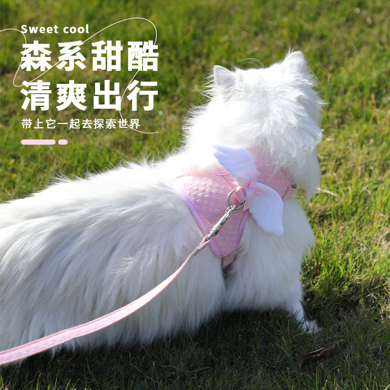 猫咪外出专用胸背带宠物狗狗幼猫牵引绳工字型防跑可调节遛猫绳子,宠物/宠物食品及用品,猫牵引绳,淘宝优惠券,粉丝福利购,淘宝优惠卷