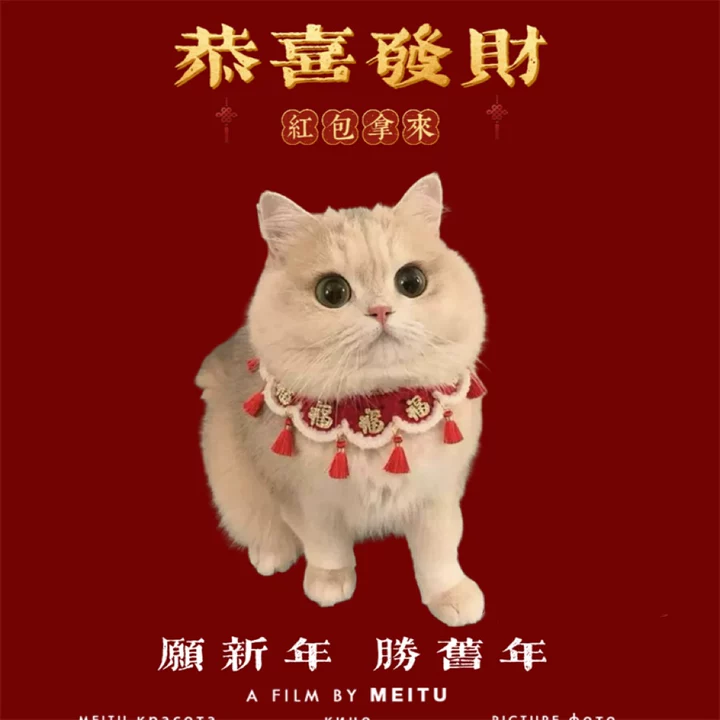 猫咪新年项圈过年喜庆春节宠物福字围巾新年围脖猫狗衣服小猫围兜