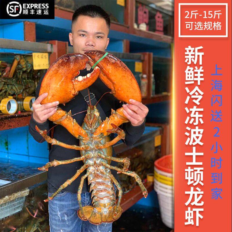 波龙澳龙,龙青龙,红龙_大山谷图库