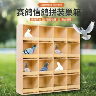 箱實木加厚鴿子窩賽鴿巢箱信鴿養殖配對箱家 木頭鴿子籠鴿子籠拼裝