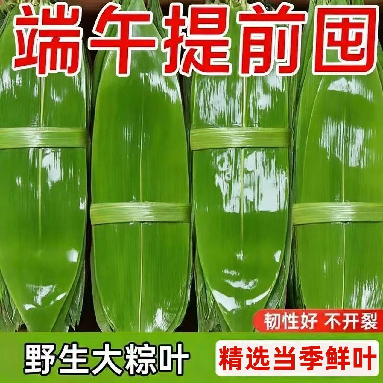 新鲜粽子野生批发正宗粽子叶家用端午节包粽子专用大片麻竹叶包邮