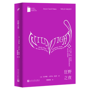 狂野之夜:关于爱伦·坡、狄金森、马克·吐温、詹姆斯和海明威最后时日的故事