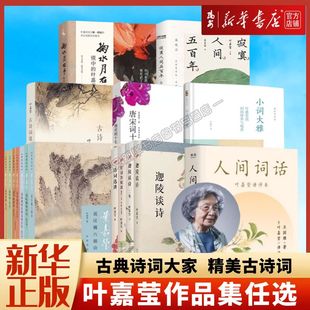 小詞大雅 迦陵說詞講演集 中國古詩詞 古詩詞課 迦陵談詩 人間詞話葉嘉瑩講評本 葉嘉瑩作品集任選 古詩詞大家 唐宋詞十七講