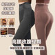 女无痕舒适防寒秋裤 高腰收腹提臀塑形保暖裤 打底裤 塑形顶顶裤