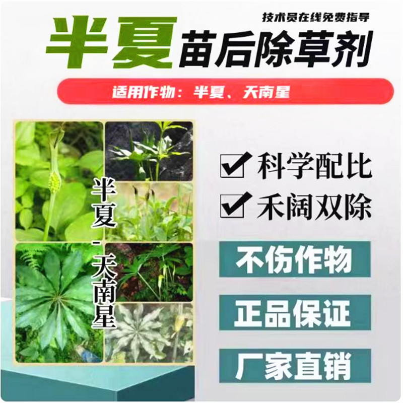 半夏苗后专用除草剂禾阔天南星科