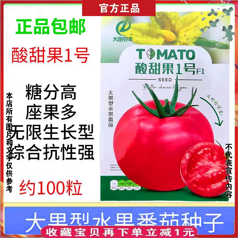 大番茄种籽酸甜果1号西红柿种子