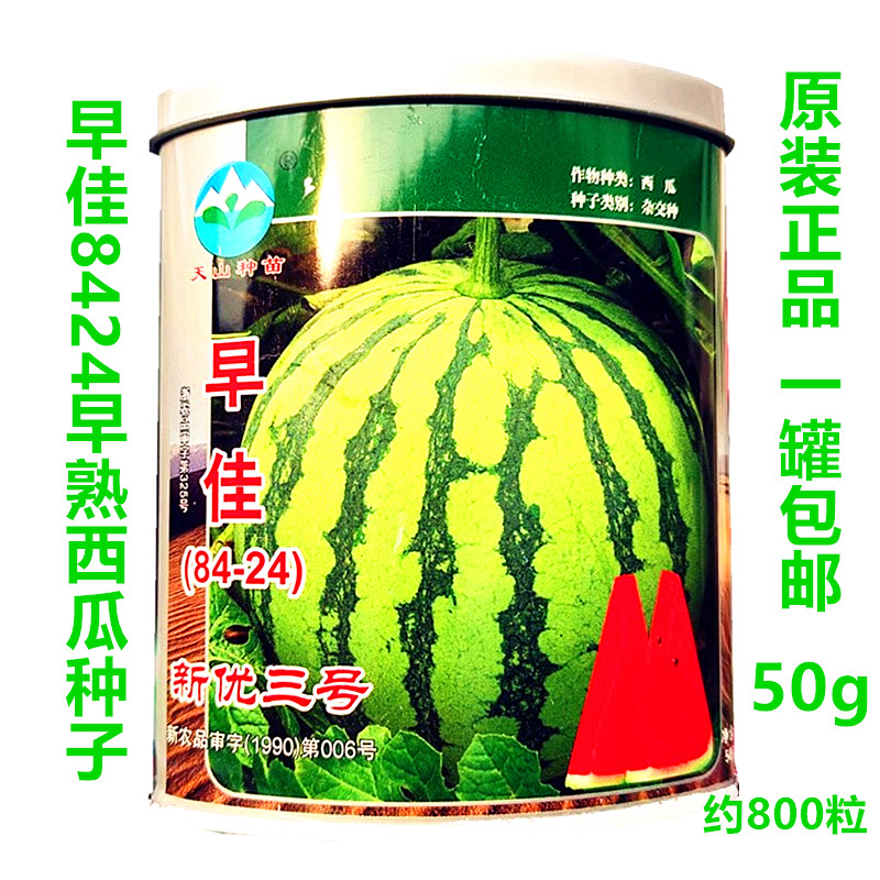早佳8424西瓜种子孑50克冰糖瓜甜脆早熟礼品红壤圆西瓜籽子菊城牌