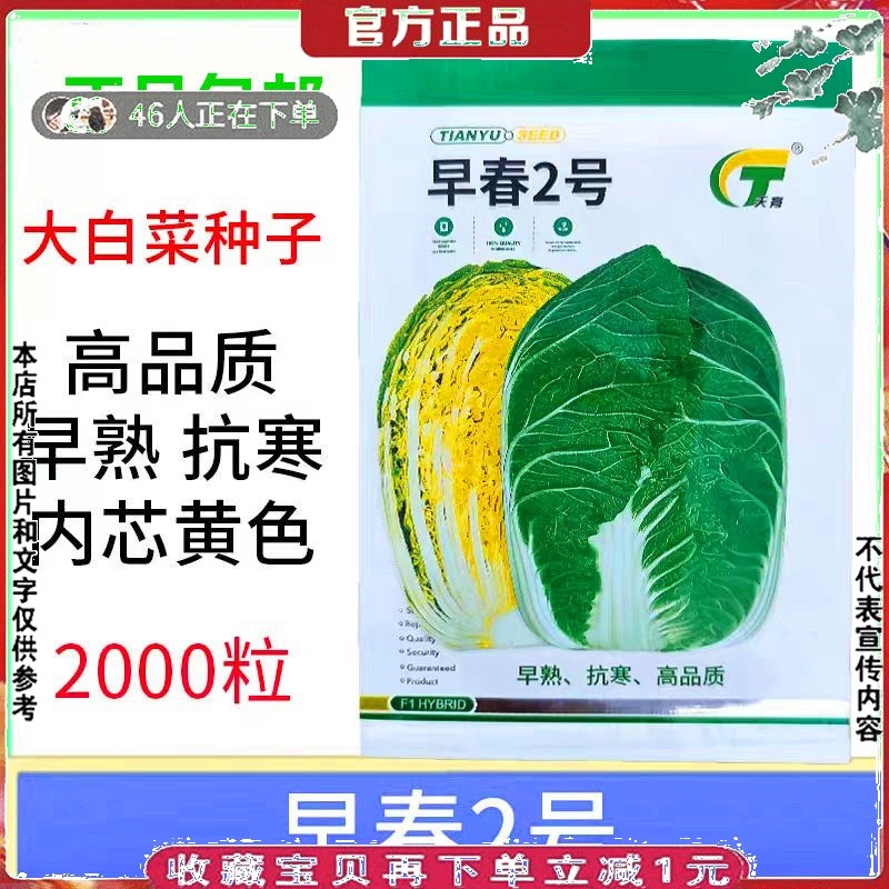 黄心大白菜种子早春2号百菜籽春秋早熟杂交抗寒蔬菜种子孑2000粒,农用物资,蔬菜种子/种苗,淘宝优惠券,粉丝福利购,淘宝优惠卷