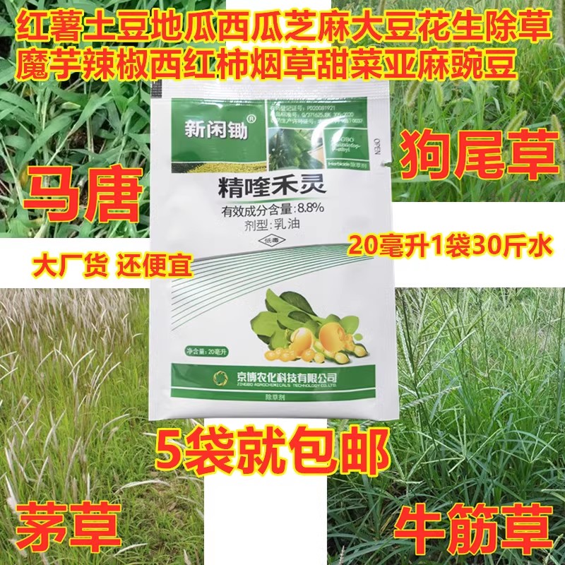 禾本科新闲锄精喹禾灵8.8%除草剂图片