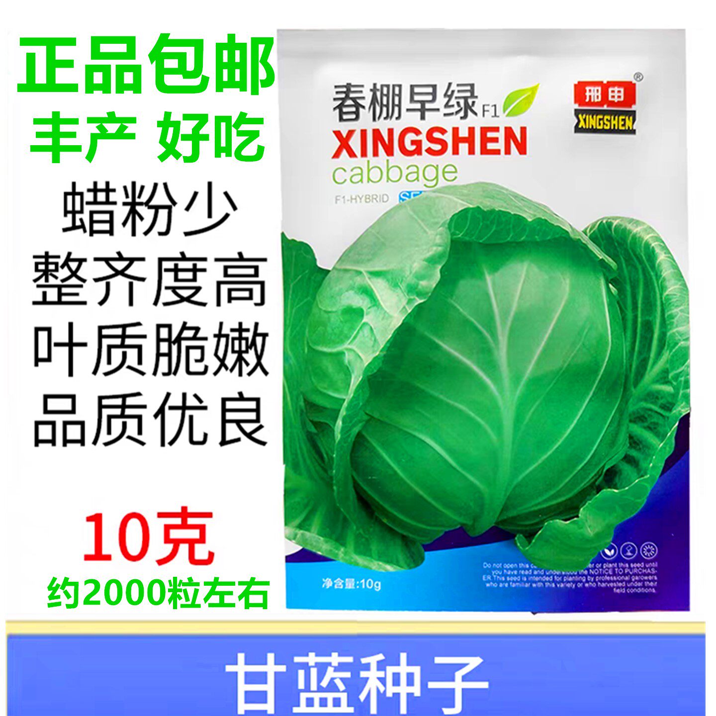 春棚早绿甘蓝种子丰产早熟蔬菜籽