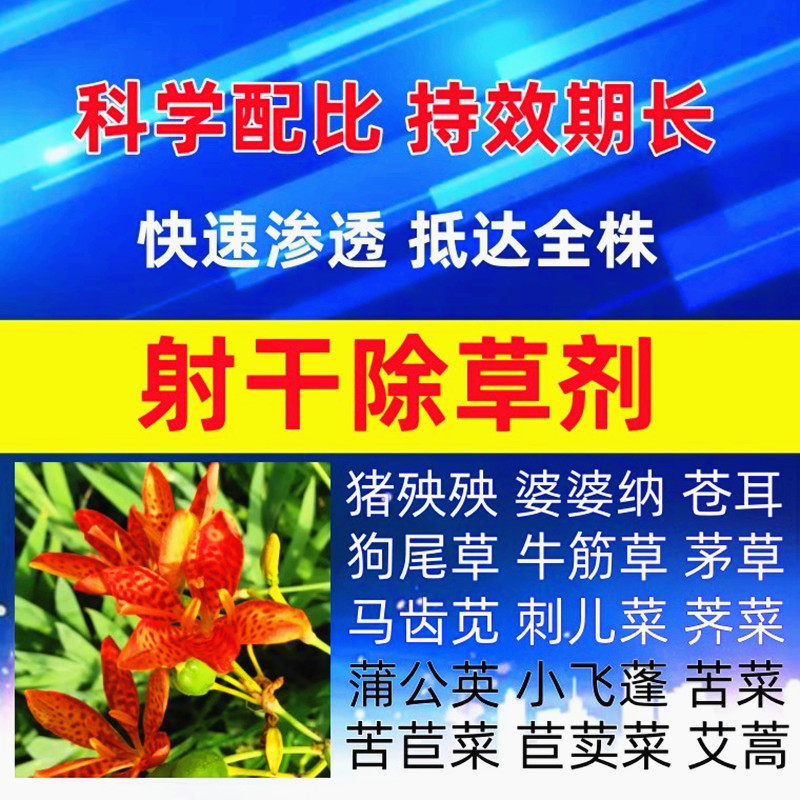 中药材鸢尾射干专用除草剂禾阔双