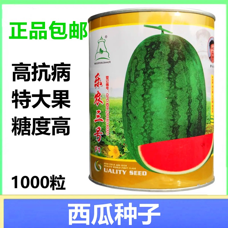 抗重茬高产蔬菜种子大型西瓜种籽