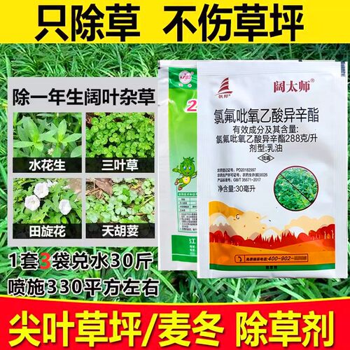 麦冬专用除草剂草坪马尼拉黑麦草