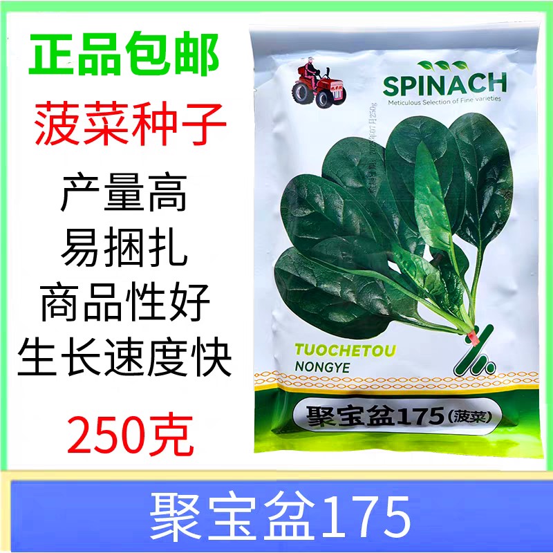 拖车头菠菜种子籽生长速度快250g