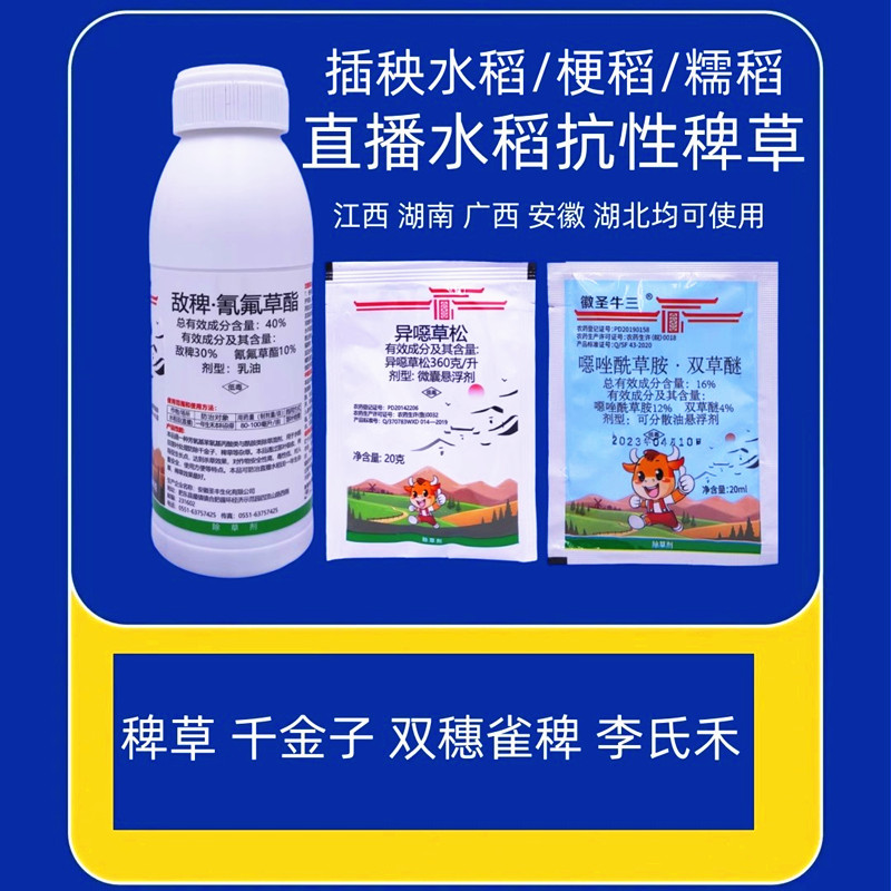 水稻梗糯稻杀稗草千金子双穗雀稗图片