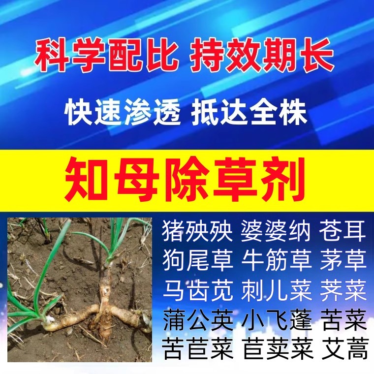 知母苗后专用除草剂农药禾阔双除