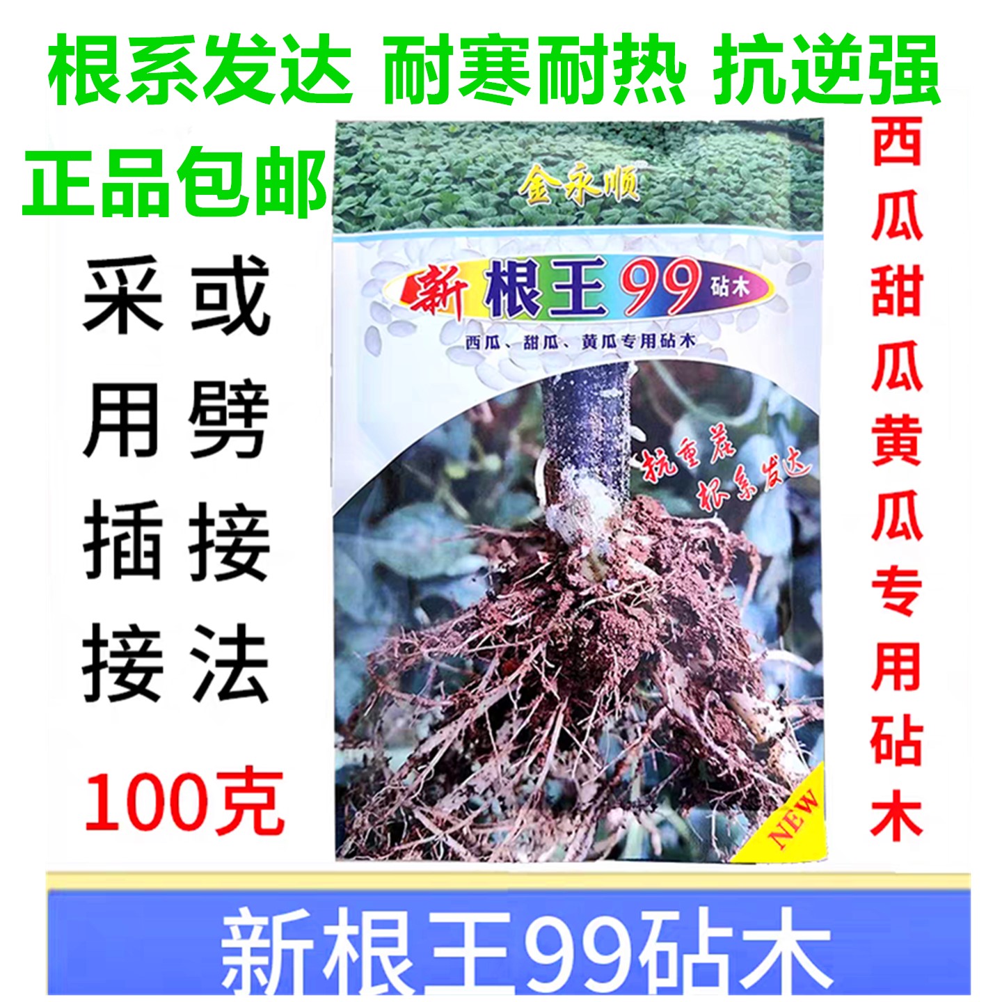 嫁接专用南瓜种子砧木金永顺西瓜