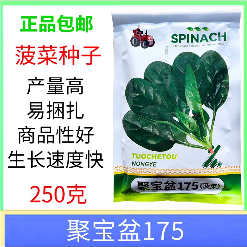 菠菜种子蔬菜种子聚宝盆175菠菜