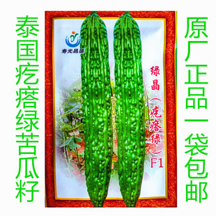 苦瓜种籽孑蔬菜子绿晶杂交苦瓜种子15g约100粒寿光疙瘩绿抗病早熟