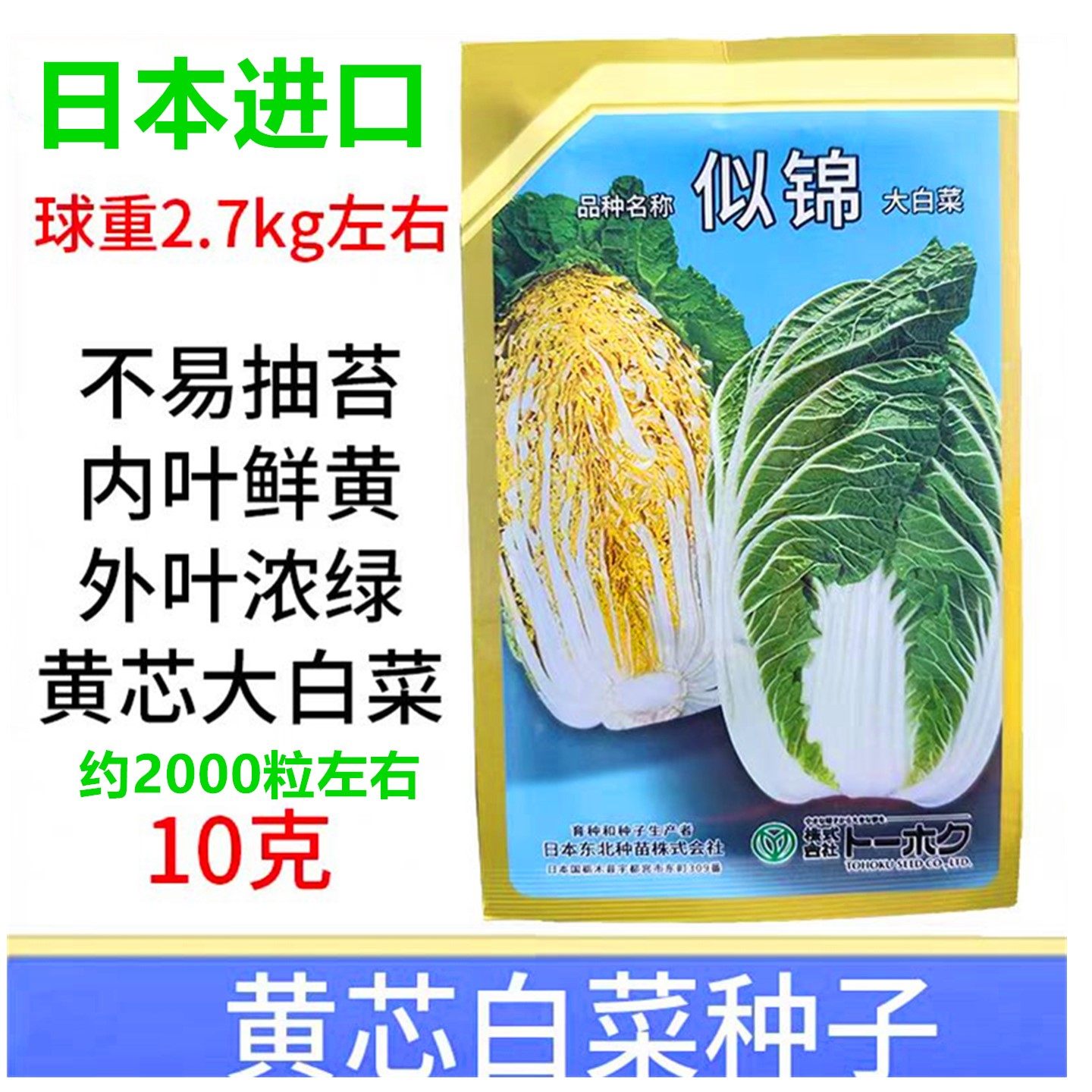日本进口早熟黄芯大白菜种子似锦