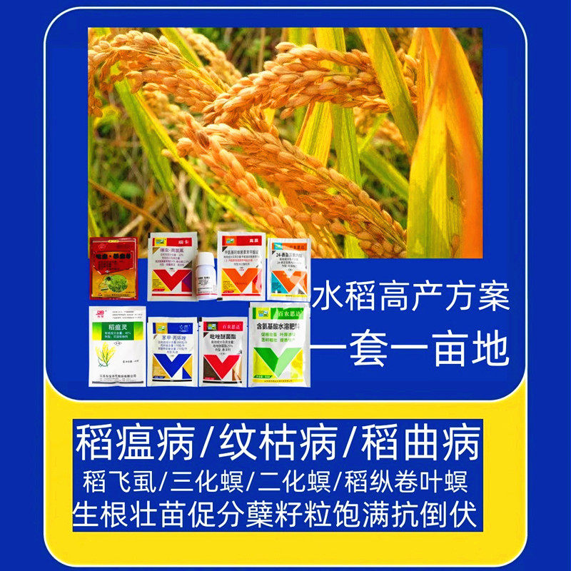 纹枯病稻纵卷叶螟虫杀虫剂杀菌药