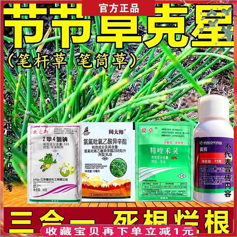 节节草专杀笔管草专用除草剂烂根