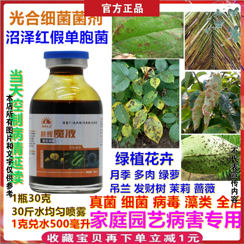 魔液家庭园艺绿植花卉真菌细菌病毒病全治月季蔷薇多肉光合细菌剂