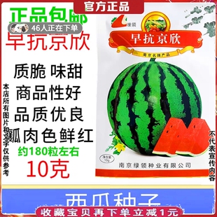 袋装西瓜种子早抗京欣早熟花皮红肉有籽西瓜种籽水果种孑10克绿领