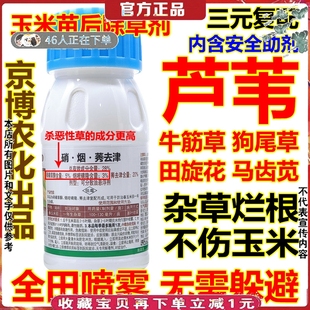 玉米苗后除草剂杀芦苇牛筋草马唐香附子稗草死根马齿苋苞米除草剂