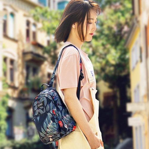 dakine逛街迷你双肩包女帆布包小