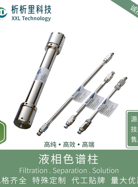 C18液相色谱反向分析制备柱耐水耐碱防腐剂HPLC析析里品牌直销