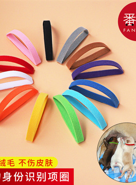 宠物项圈/识别A1pq301-幼猫宠物脖子标识带小狗猫咪用品区分