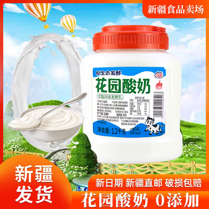 新疆特产花园酸奶1.2kg大桶罐装原味低温酸奶全脂风味发酵乳