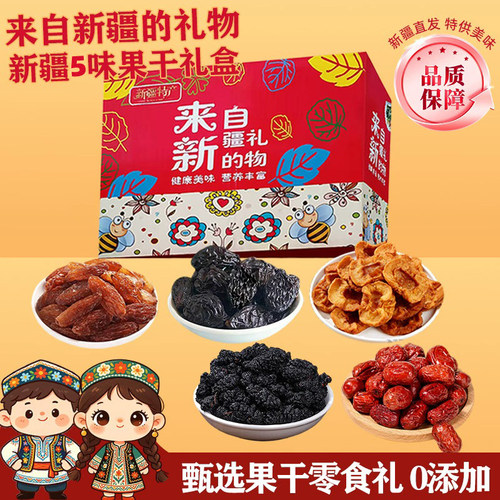 北疆与你新疆特产果干礼盒大礼包干果苹果干健康零食