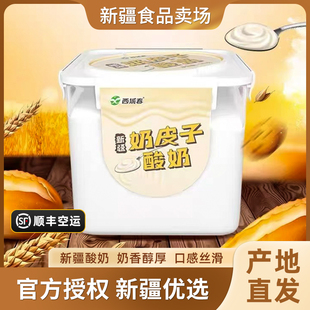 顺丰空运 新品 新疆西域春奶皮子酸奶1000克桶装