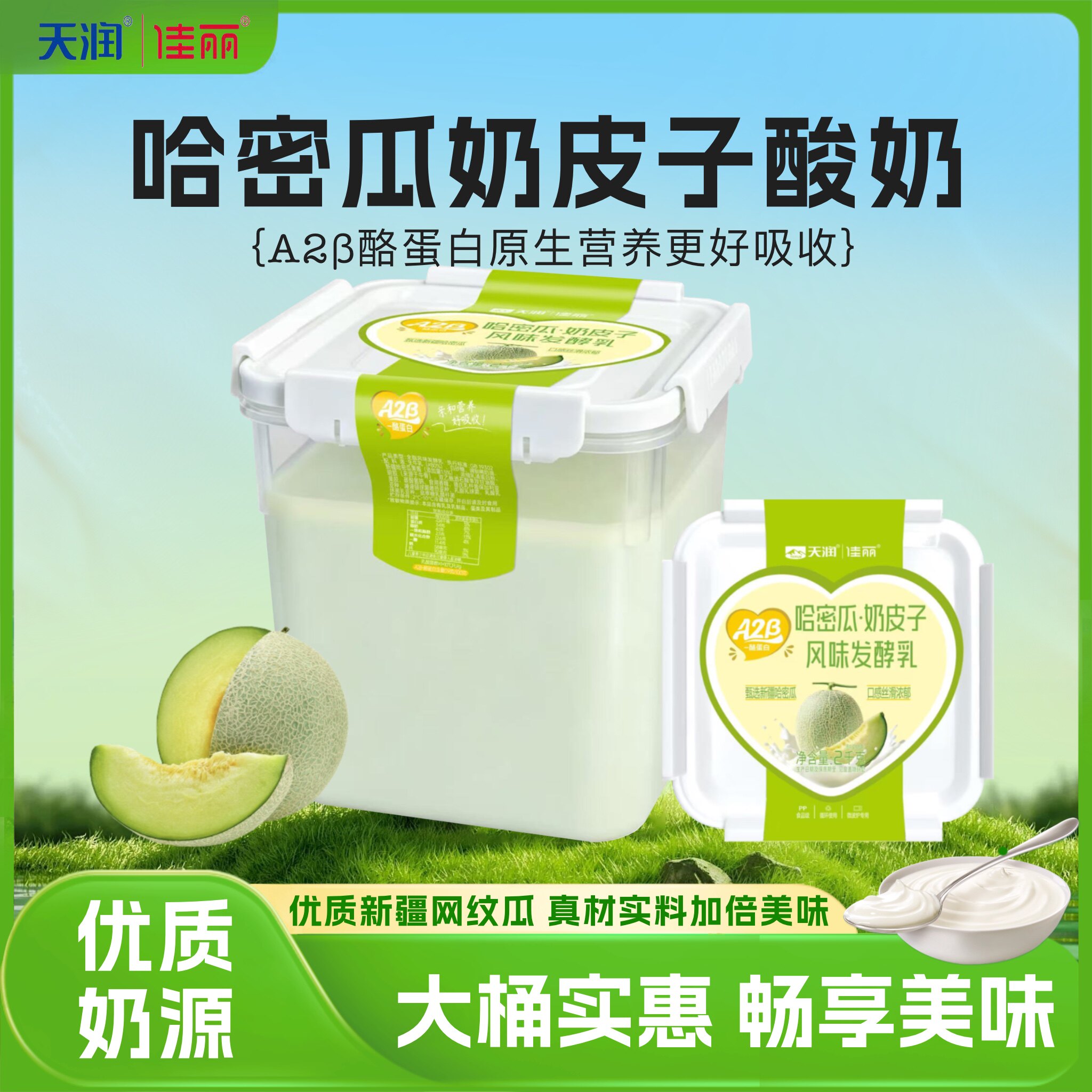 新疆天润佳丽A2β哈密瓜奶皮子酸奶2kg风味发酵乳