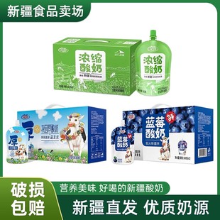 12袋益生元 花园浓缩酸奶160克 全脂风味低温发酵乳 顺丰