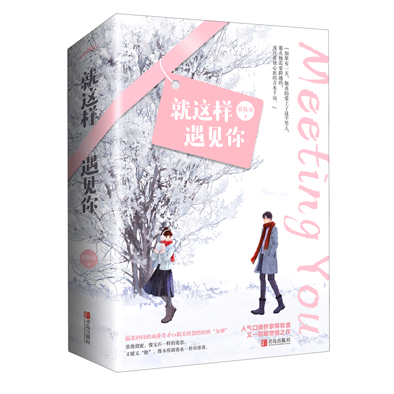 就这样遇见你(上下)