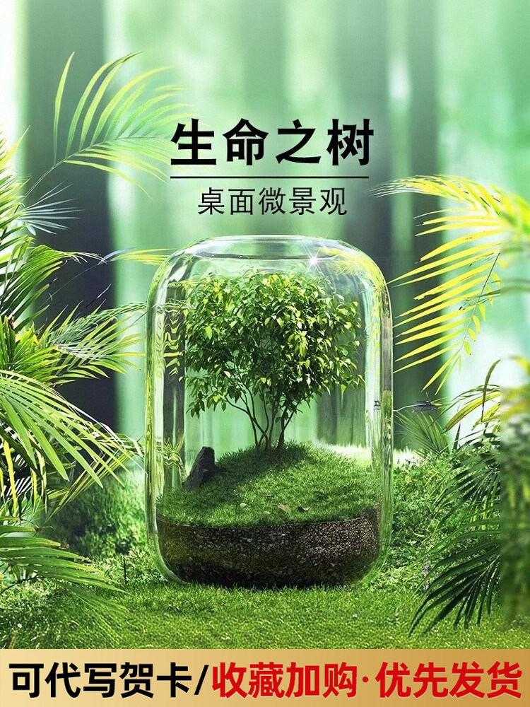 微景观办公创意桌面摆件,高端女生工作站减压、疗愈、情绪稳定、