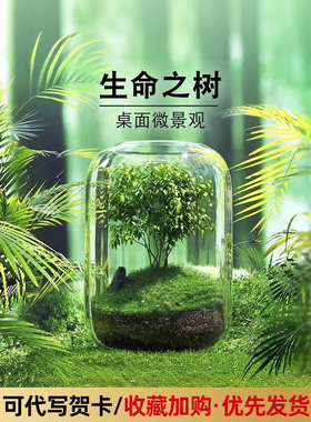 微景观办公创意桌面摆件，高端女生工作站减压、疗愈、情绪稳定、