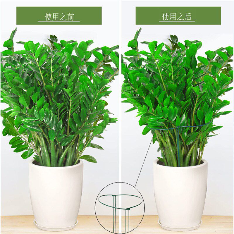 三角梅爬藤架太阳花造型支架蟹爪兰专用支架兰花护叶支架园艺支撑