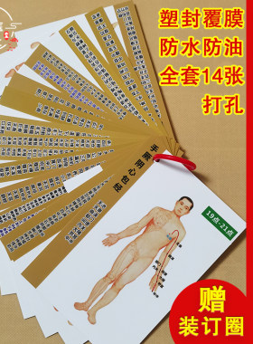 中医十四经络学习卡片覆膜防水卡人体针灸穴位图片卡速记14卡片