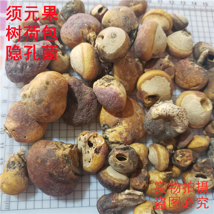 250克野生隐孔菌 须元果 树荷包 中药材 须阳果正品食用促销包邮