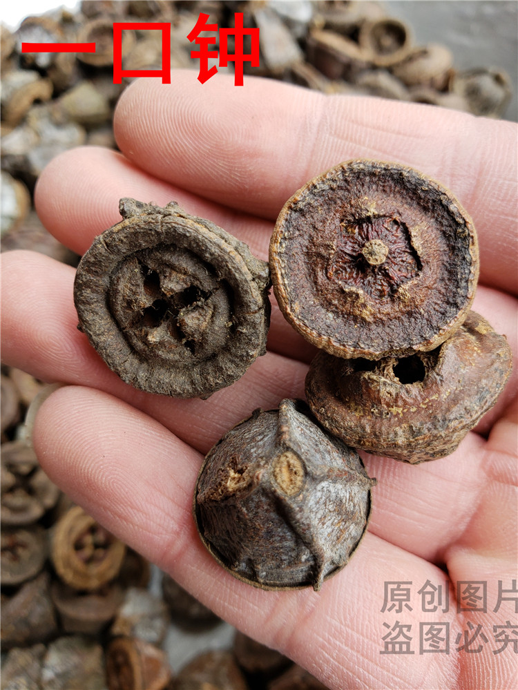 一口钟九林中药材云南一口钟 一口盅 可泡水泡酒干货500克1件包邮