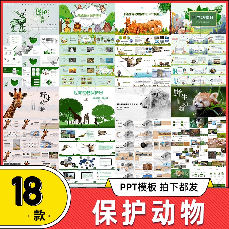 保护动物ppt模板 学生关爱护野生动物珍惜生命ppt主题班会素材图