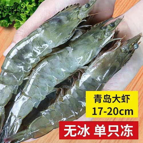 新鲜超大虾王！4斤无冰亏钱冲量